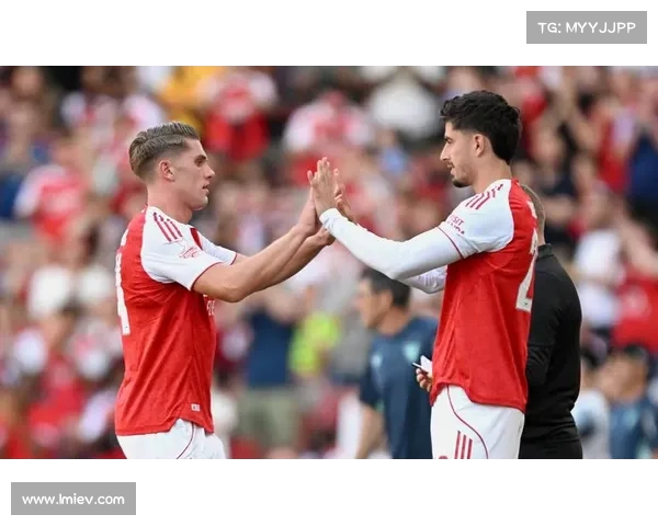 阿森纳球员个人荣誉及表现统计